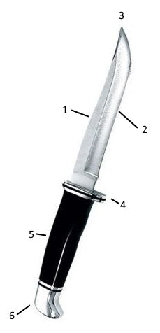 hunting knife anatomy