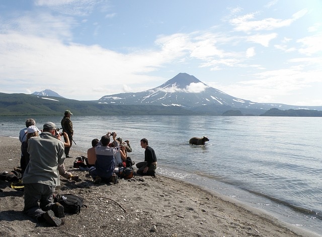 A group of people photographing a bear