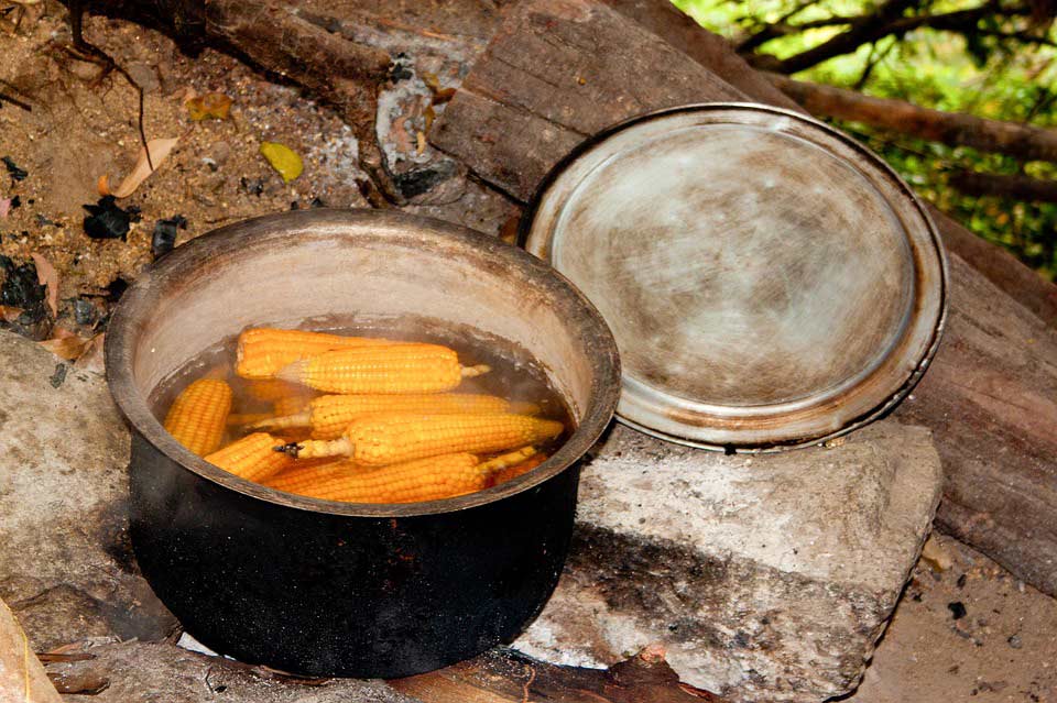 Corn on the cob in the camp