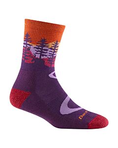 Darn Tough Women's Hiker MicroCrew Socks