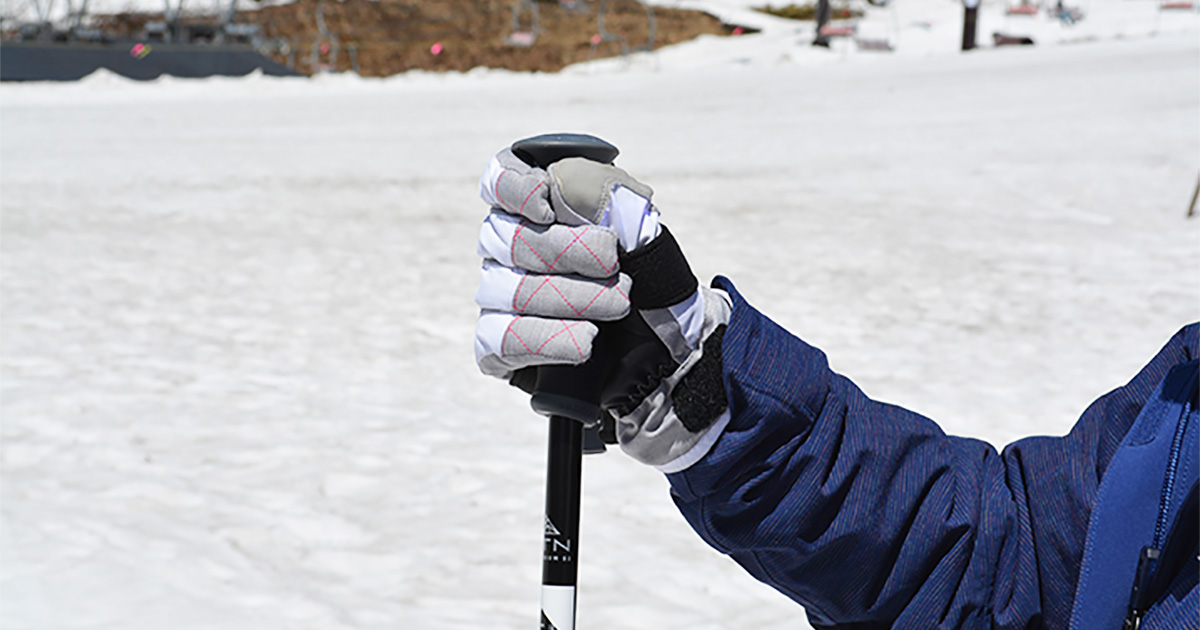 ski pole grip