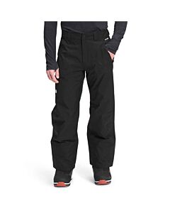 The North Face Men's Seymore Pant