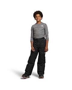 The North Face Boys' Freedom Insulated Pant